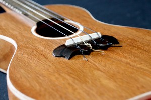 Ukulele Closeup of Bridge | Dale Wallace Guitars